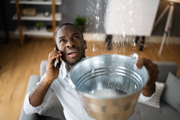  Lead, SD Water damage restoration Pros