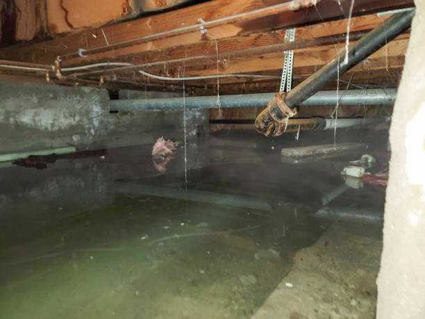 Best Water damage restoration near me  in Lead, SD