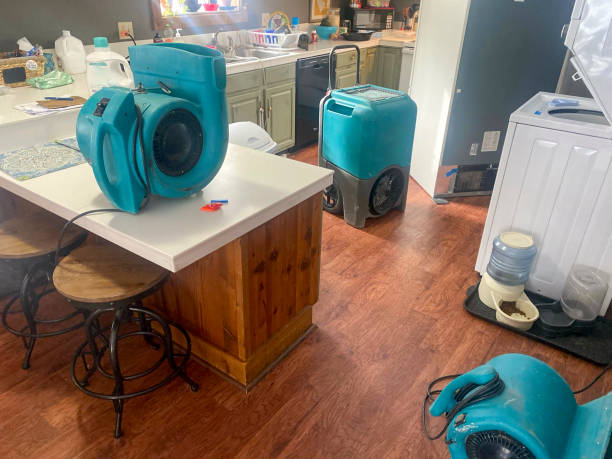 Lead, SD Water damage restoration Company