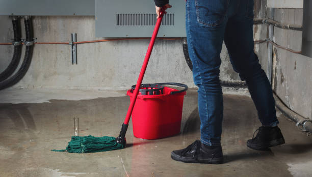 Best Fire Damage Restoration  in Lead, SD