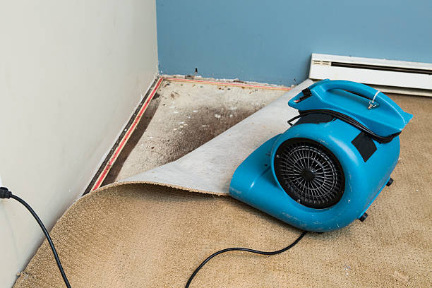 Best Flooded house restoration  in Lead, SD